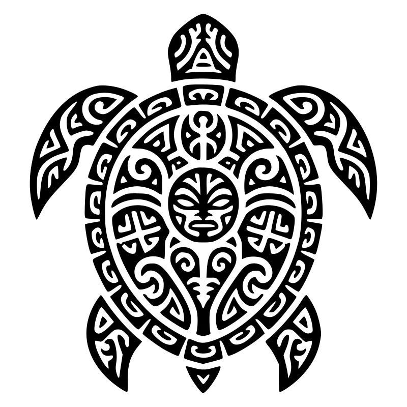 tortoise