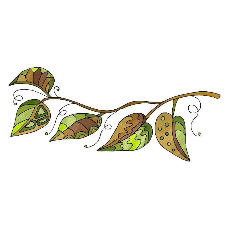 feuilles