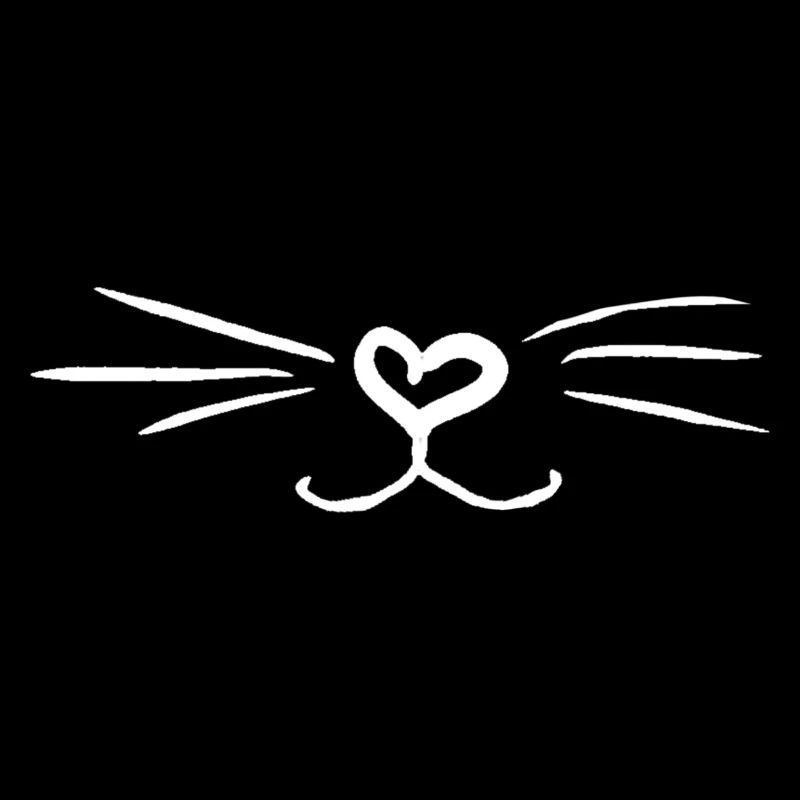 Chat de chat