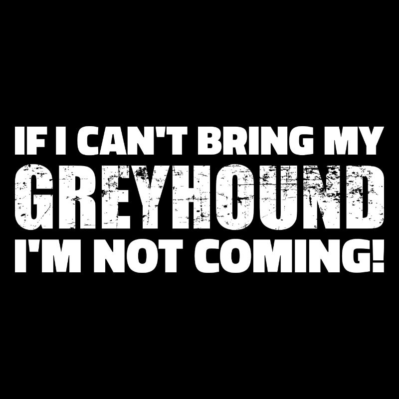 greyhound