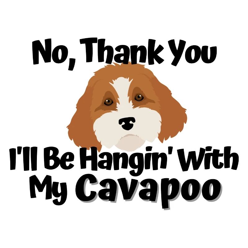 Hanging With My Cavapoo