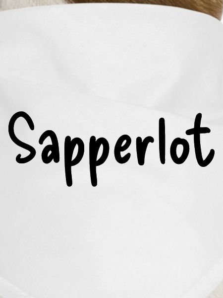Sapperlot