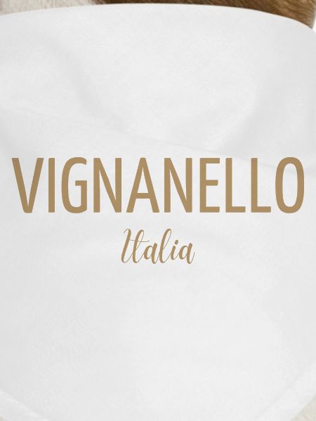 Vignanello Italia 