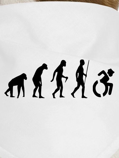 Evolution Rollstuhl. Die Rollstuhl-Evolution *