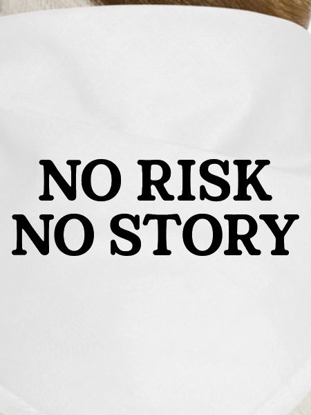 No Risk No Story