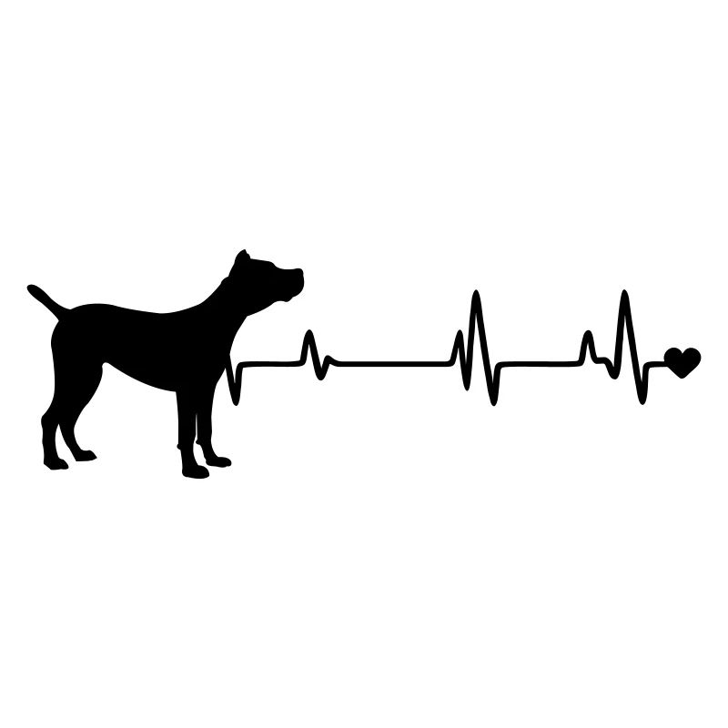 Chien