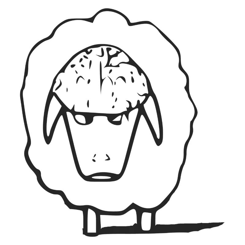Hako the grumpy sheep