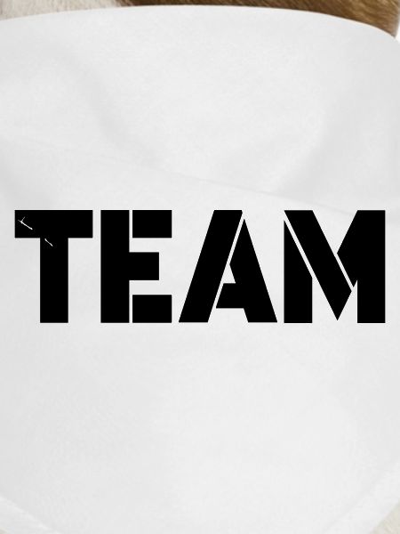 Team