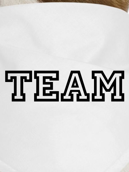 Team
