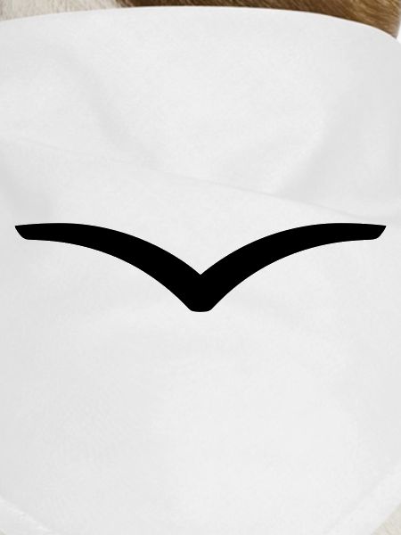 boomerang