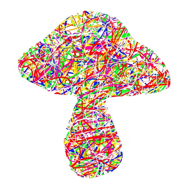 champignon coloré