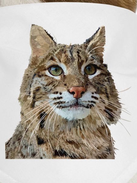 Lynx