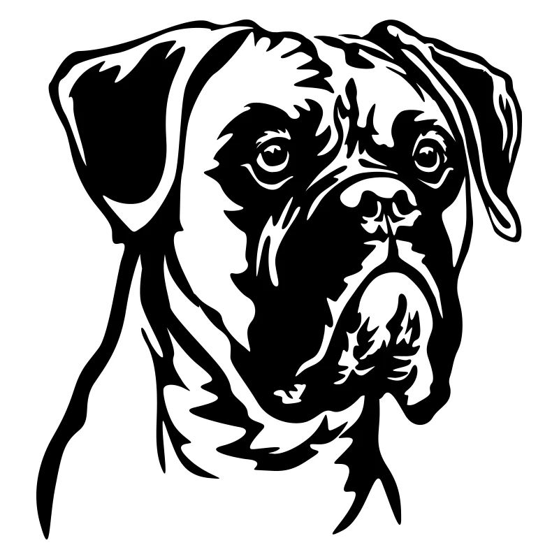Boxer Head
