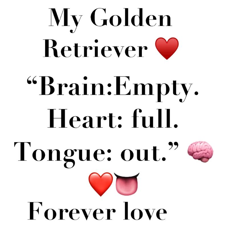 Retriever gratuito con cuore ed espressione facciale