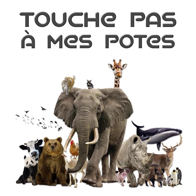 Touche pas à mes potes