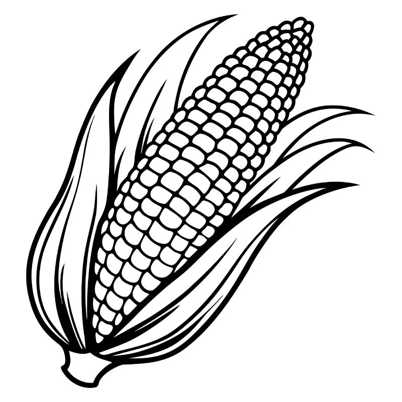 Corn