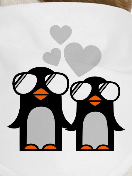 penguins fallen in love