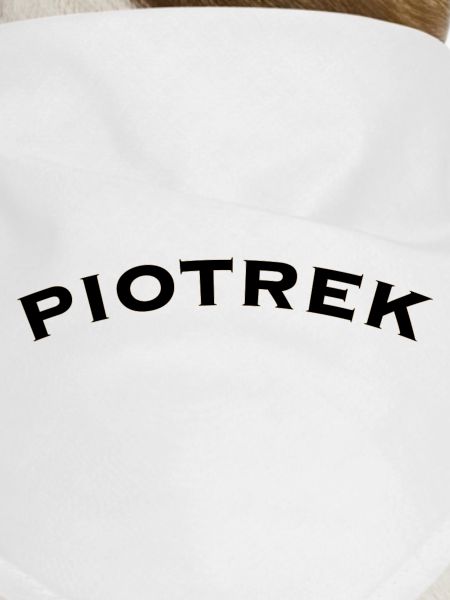 Piotrek 
