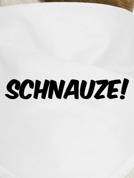 Schnauze!
