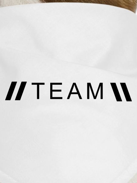 Style Team