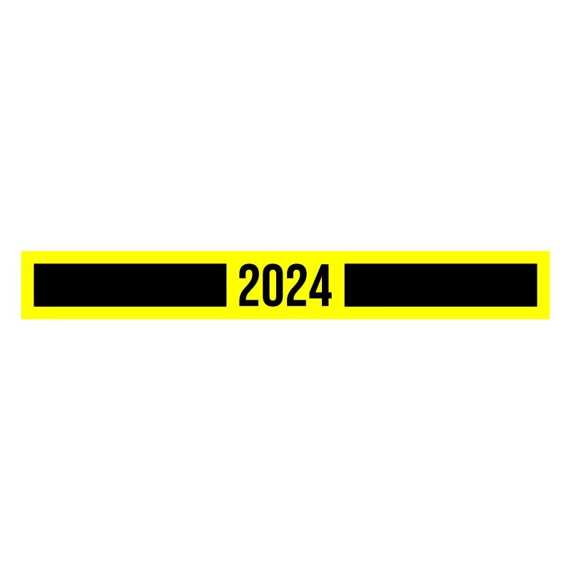 2024 year