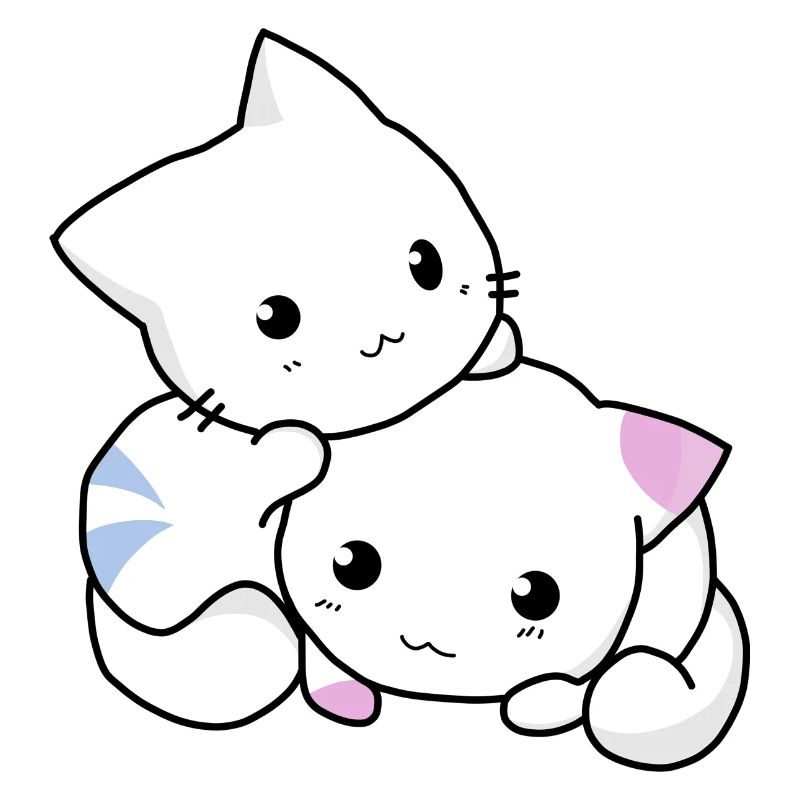 Two small cats