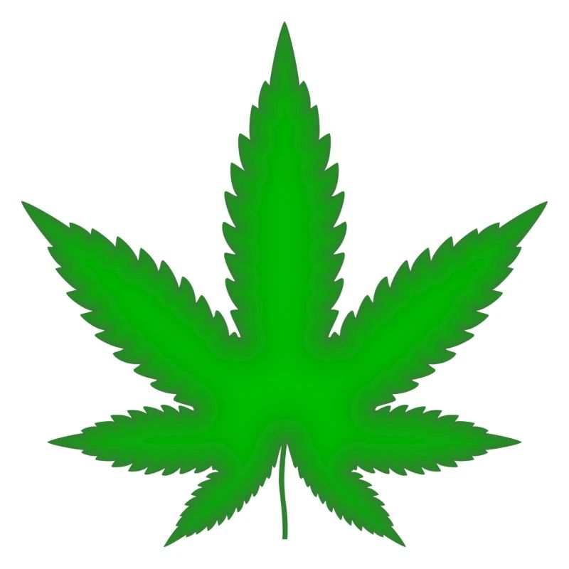 Marijuana leaf