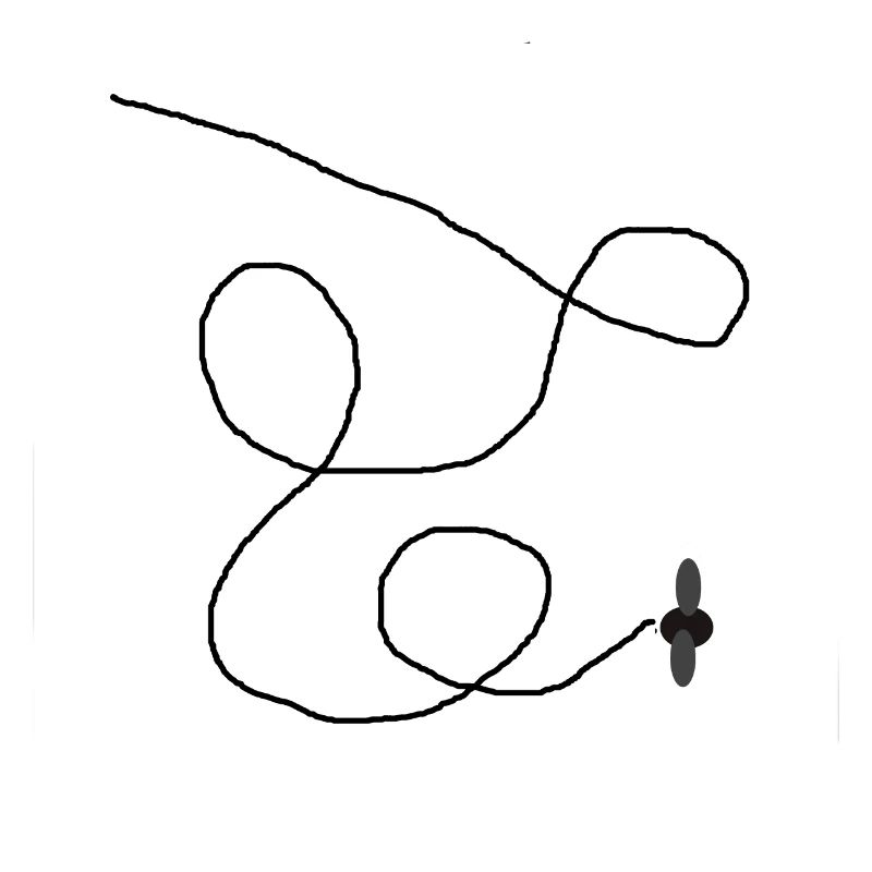Fliege Muster
