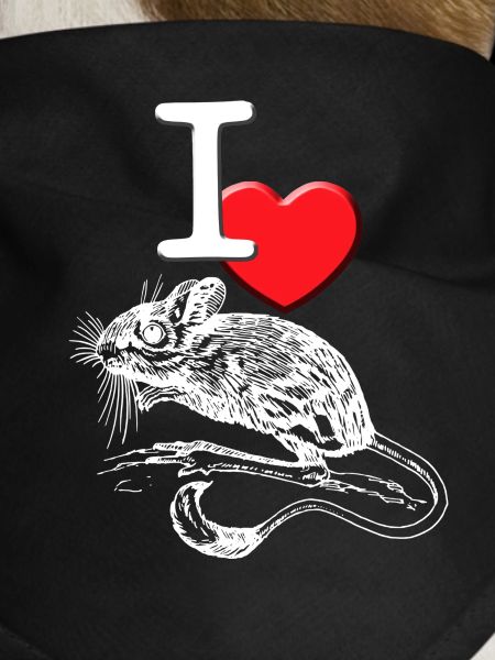 mouse