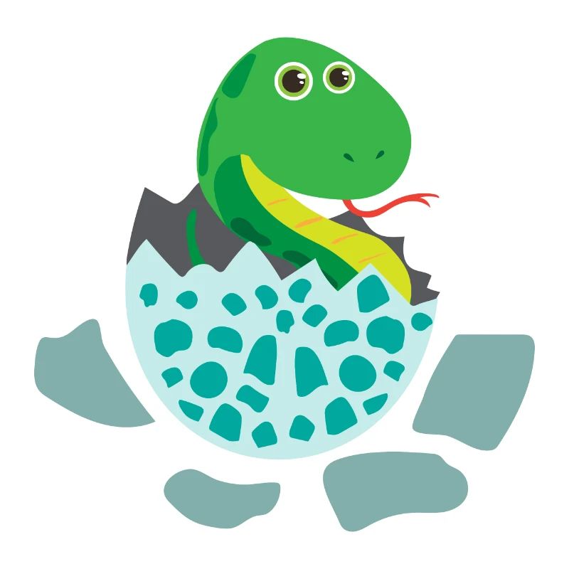 Bébé serpent éclosent - Idée de cadeau