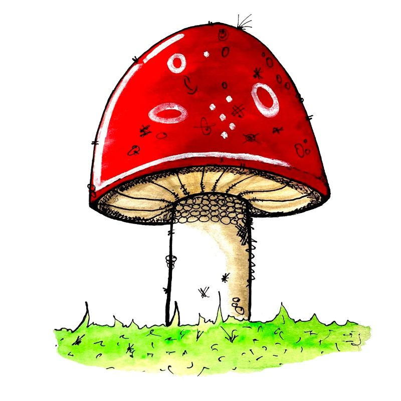 Mushroom - toadstool lucky guy lucky charm