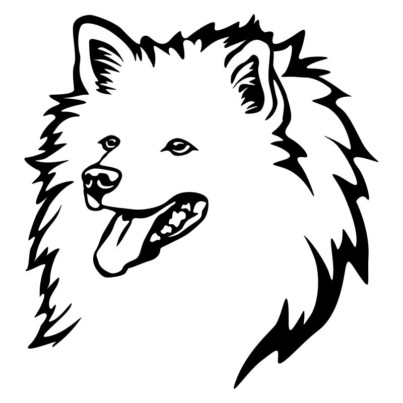 Spitz Kopf