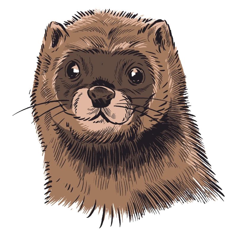 Mink ferret weasel gift idea