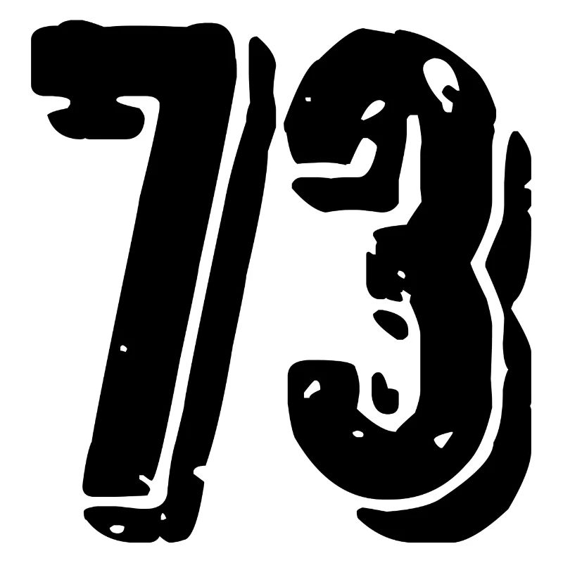 Maillot à 73 numéros