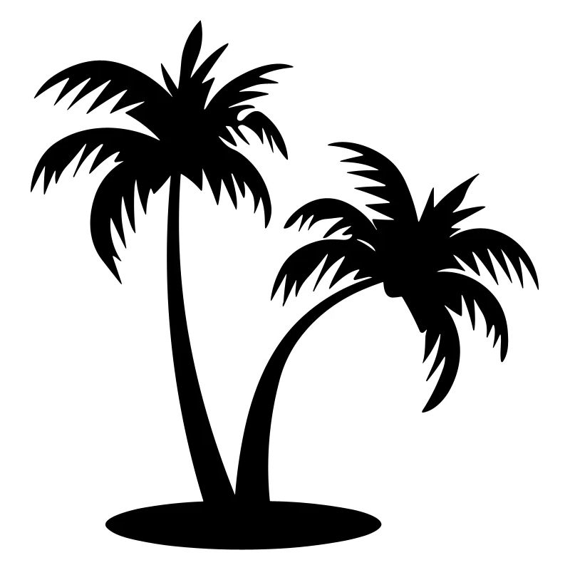 palm tree