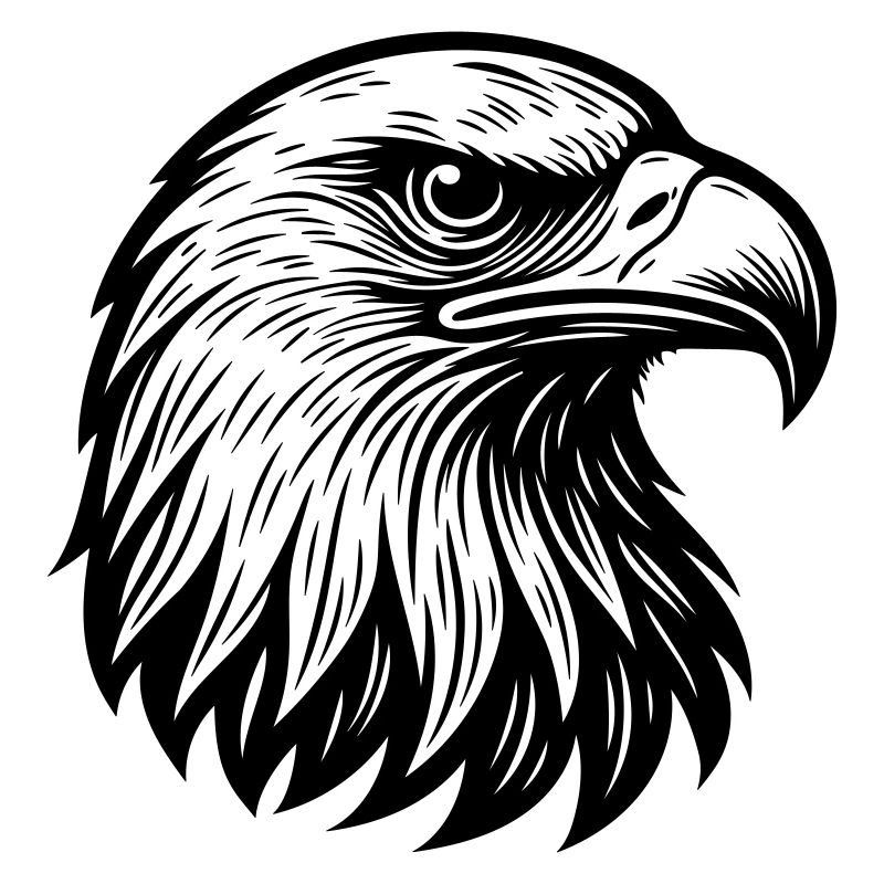 Aigle Tête d’aigle majestueuse