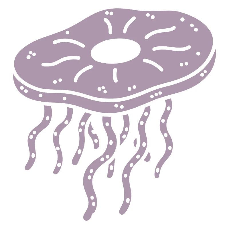 Minimalist Kombucha SCoby Tea Jellyfish