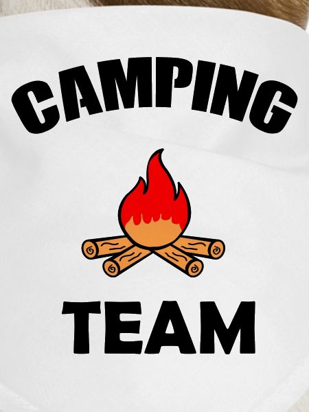 Campfire Silhouette Design