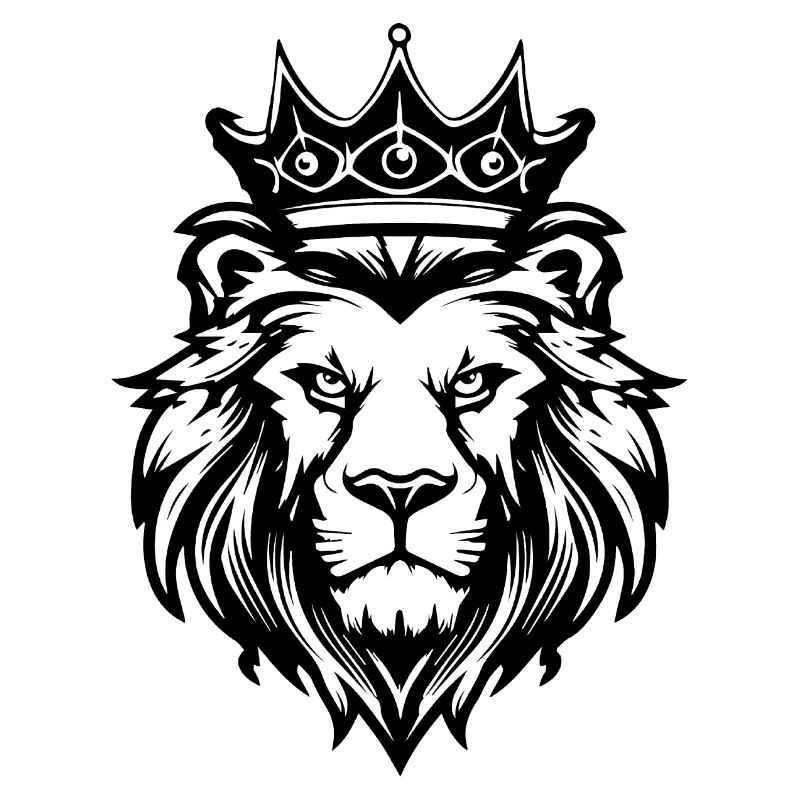 Lion Lion Head Predator
