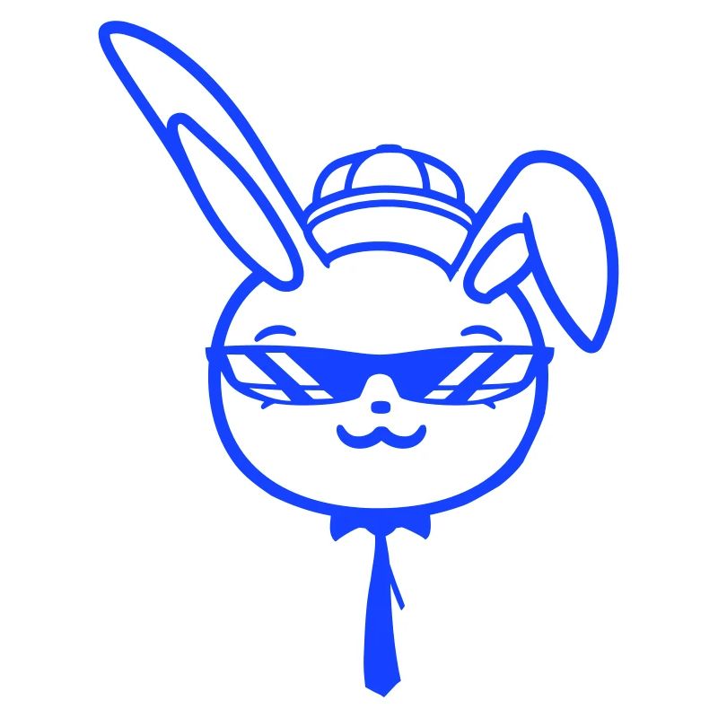 Lunettes de soleil lapin Cappy cravate Cool Hat Comic