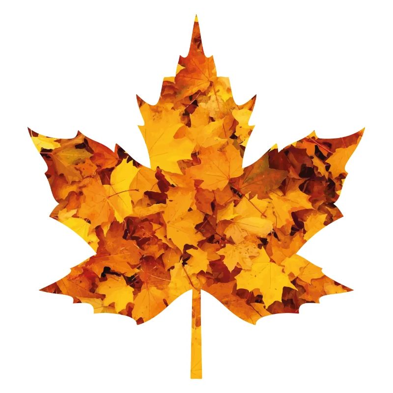 Maple leaf