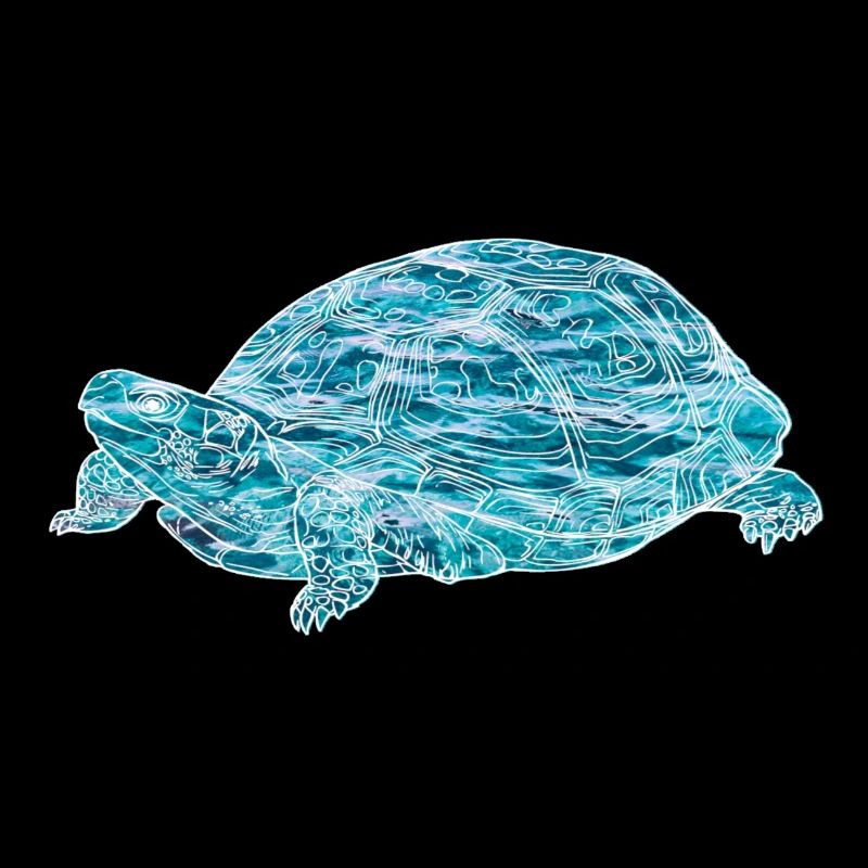 turtle, toad, animals, nature