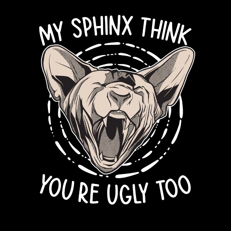 Mon Sphinx pense que toi aussi tu es moche Sphynx