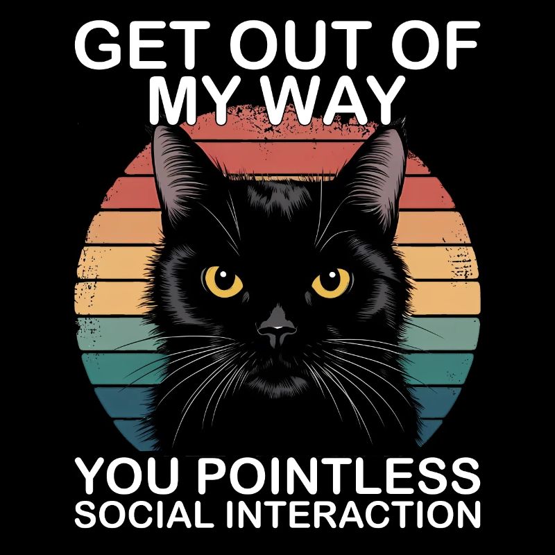 Funny Black Cat