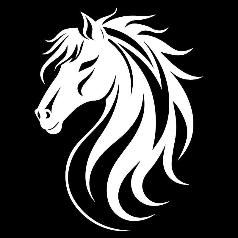 Horse Riding Gift