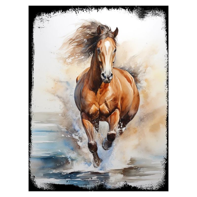 Cheval sauvage, Nature, Plage, Éclaboussures d’eau, Dynamique