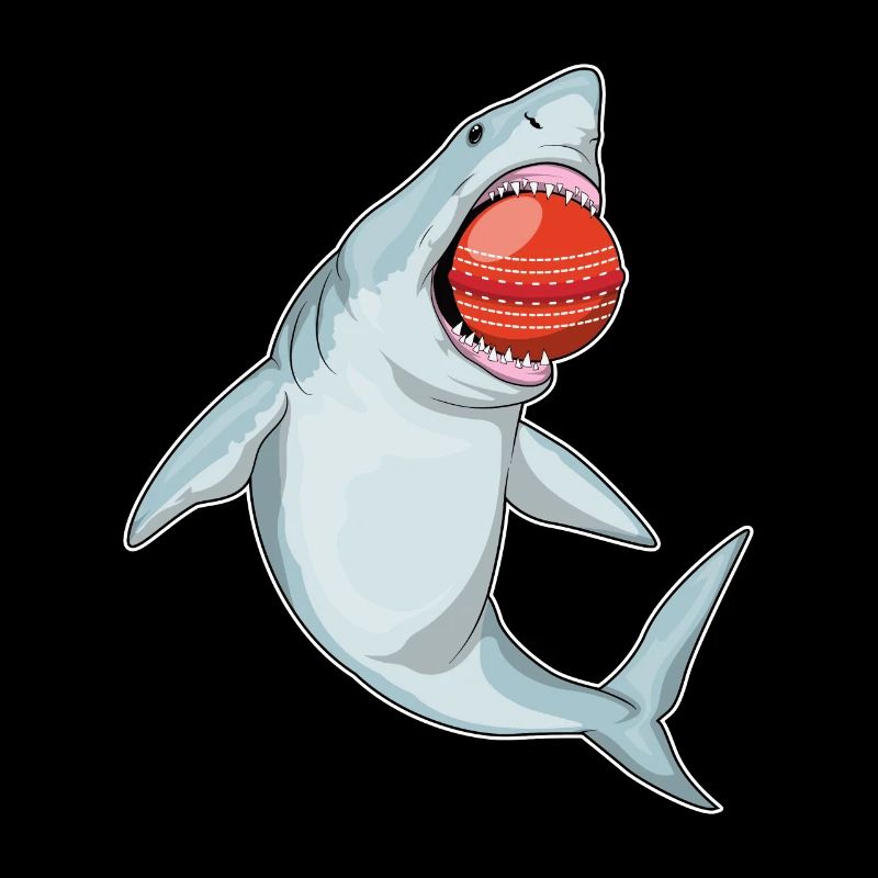 Balle de cricket de requin