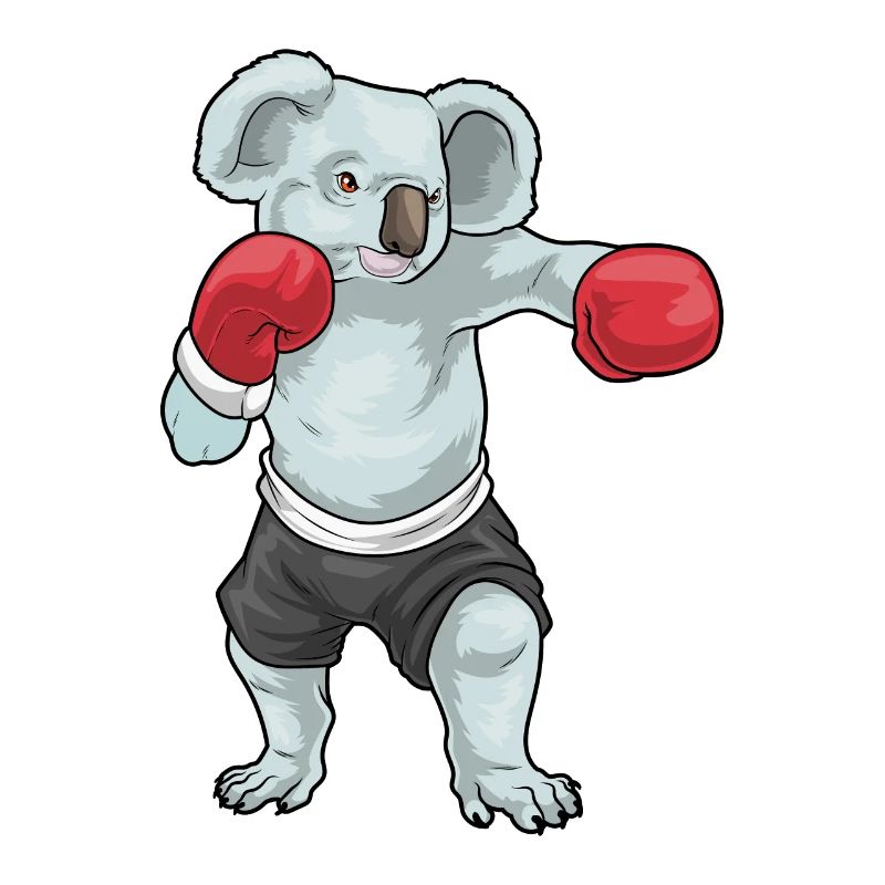 Koala Boxer Gants de Boxe Boxe