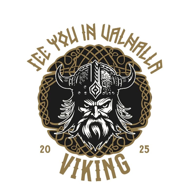 Valhalla Viking T-Shirt Pull à capuche