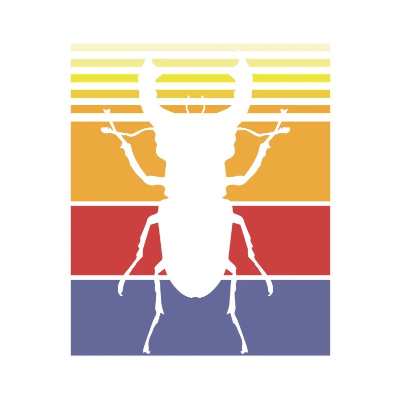 Insecte